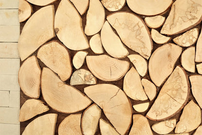 USA ONLY, wood art chopped slices panel, Environment wall art, sliced wood art, wood wall art, nature wall hanging, holzwand kunst