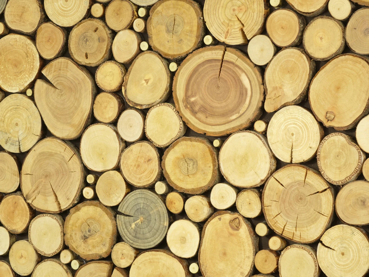 modern wall art, tree slices wall panel, sliced wood art, wooden wall art, nature hanging, holzwand kunst