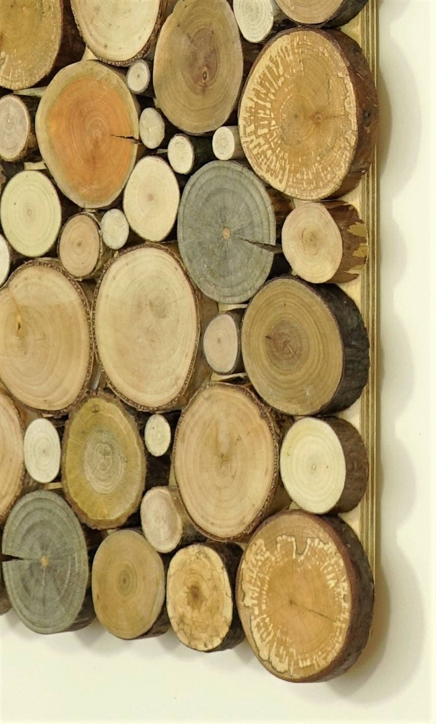 USA ONLY, wood wall art - a set of twin 2 panles, Tree rounds decor, tree slice wall board, modern wood art