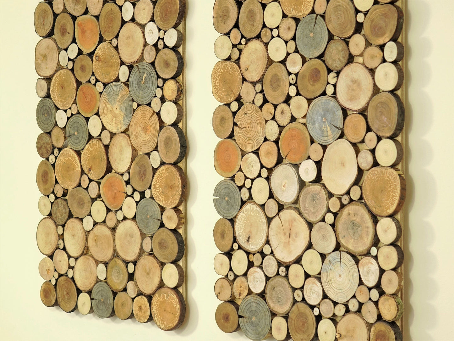 USA ONLY, wood wall art - a set of twin 2 panles, Tree rounds decor, tree slice wall board, modern wood art