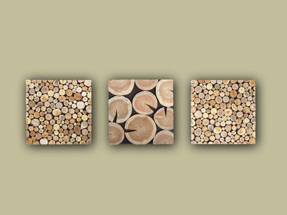 tree slab wall art set of 3, three piece large triptych wall panels of tree slices, 3 piece wall art, environmental wood wall decor large