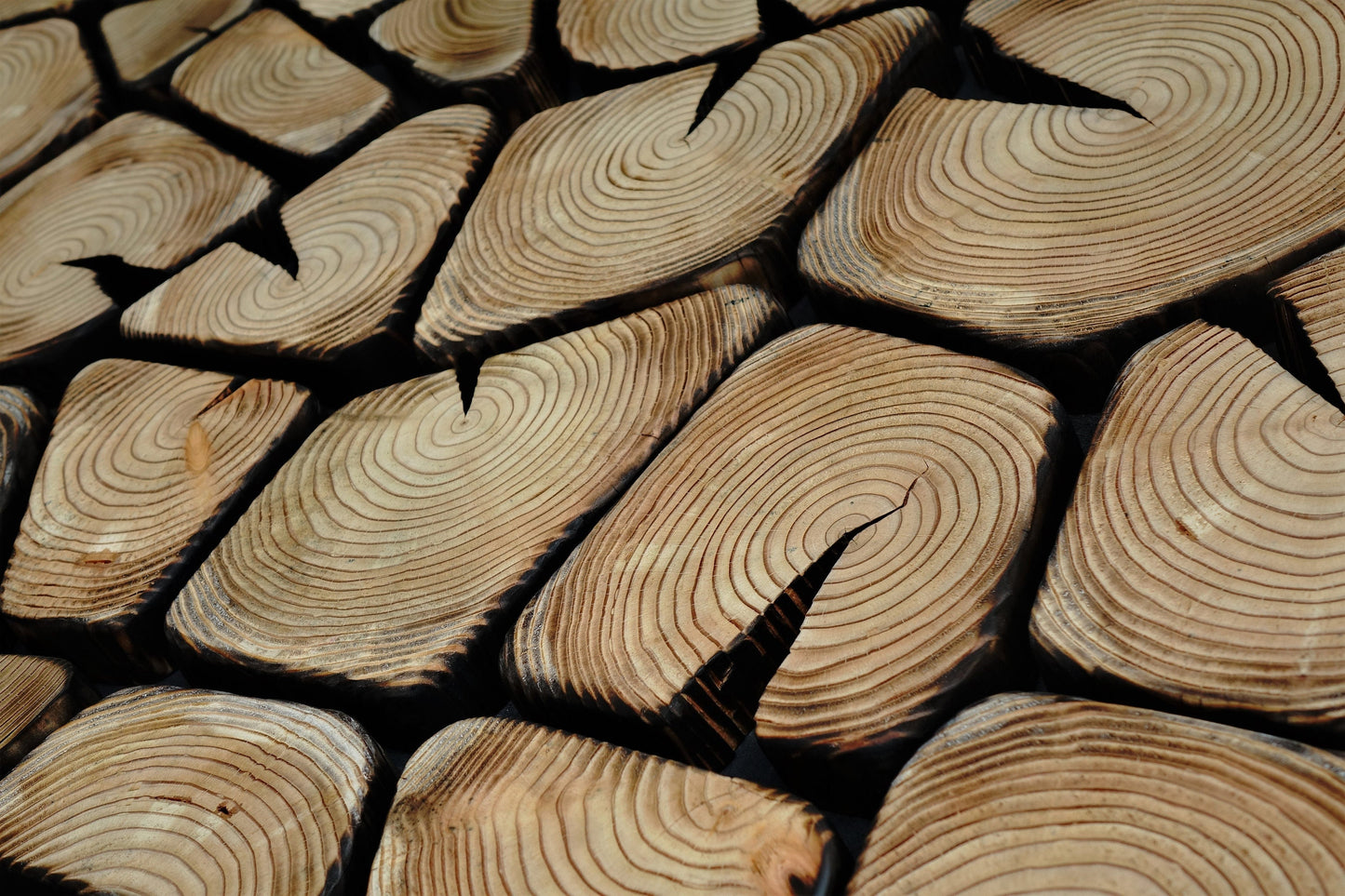 Texture tree stump wall decor, burn wood wall art large, charred wood wall art, office wood wall art, mosaic wooden wall panel uk