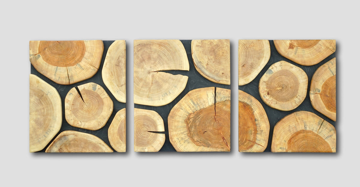 Set of 3 wood slice wall panels, wooden slabs wall art large, tree trunk wall hanging, tree stump wall art, log slice wall decor, triptych