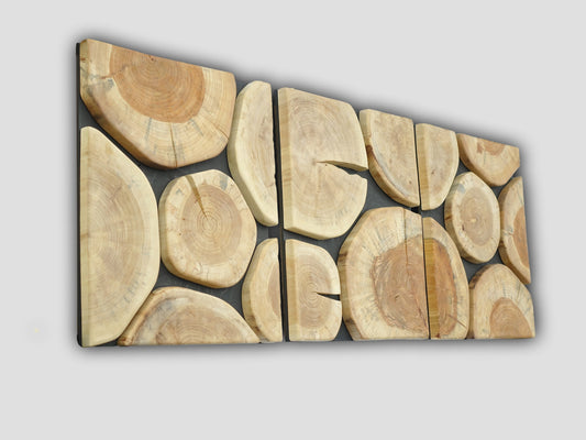 Set of 3 wood slice wall panels, wooden slabs wall art large, tree trunk wall hanging, tree stump wall art, log slice wall decor, triptych