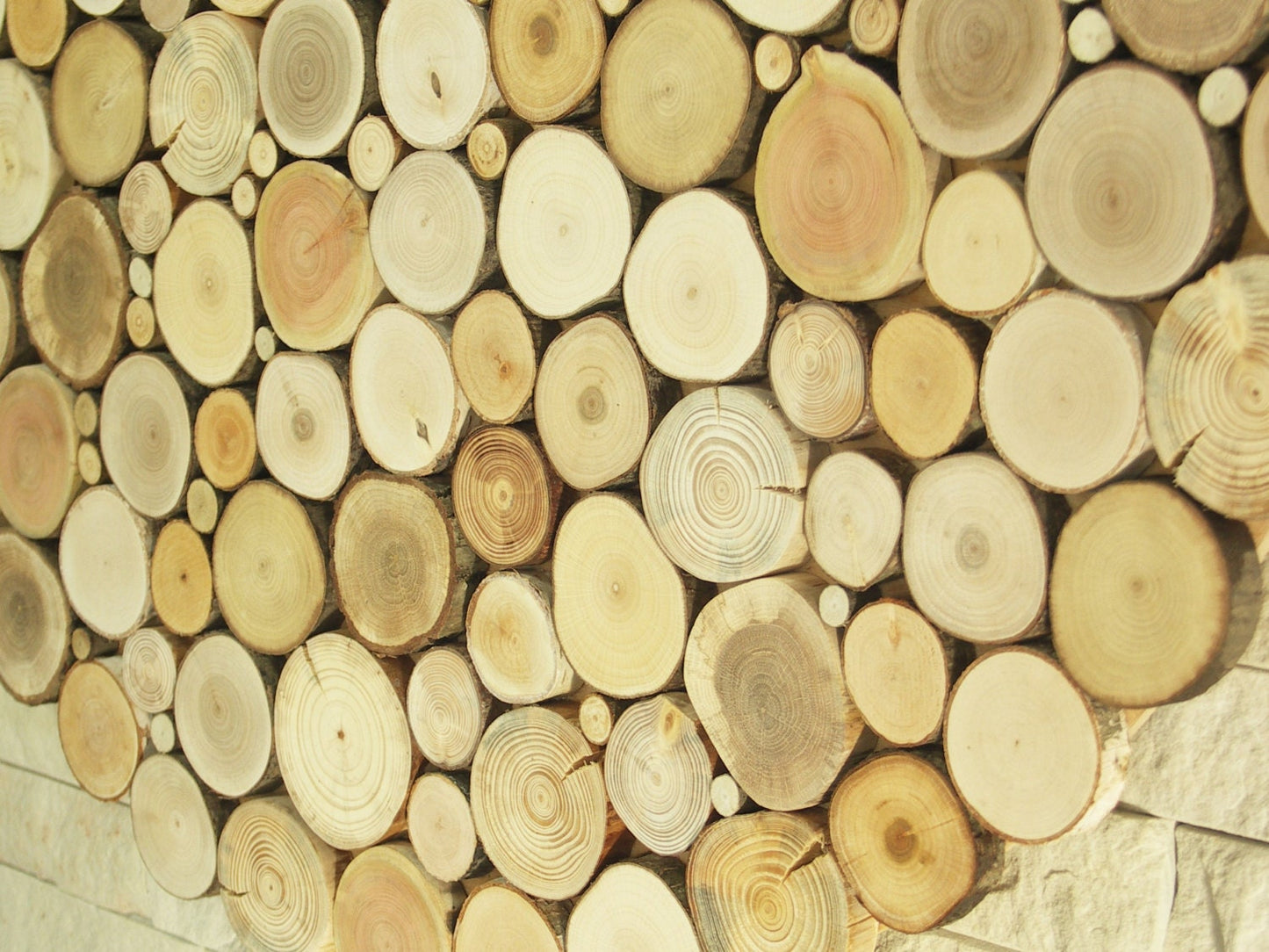 USA ONLY, tree slices wall art, round wall hanging decoration, wooden wall art, environment wall art