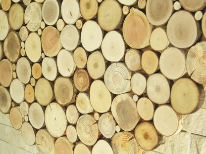 USA ONLY, tree slices wall art, round wall hanging decoration, wooden wall art, environment wall art