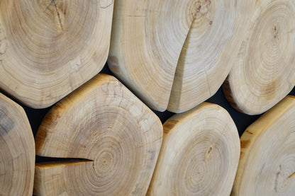 wooden slabs wall art Large, Tree Trunk Wall Decor set of 3, Live Edge Wall art triptych, Log Slice Wall Panel, Environmental Wall Panel XXL