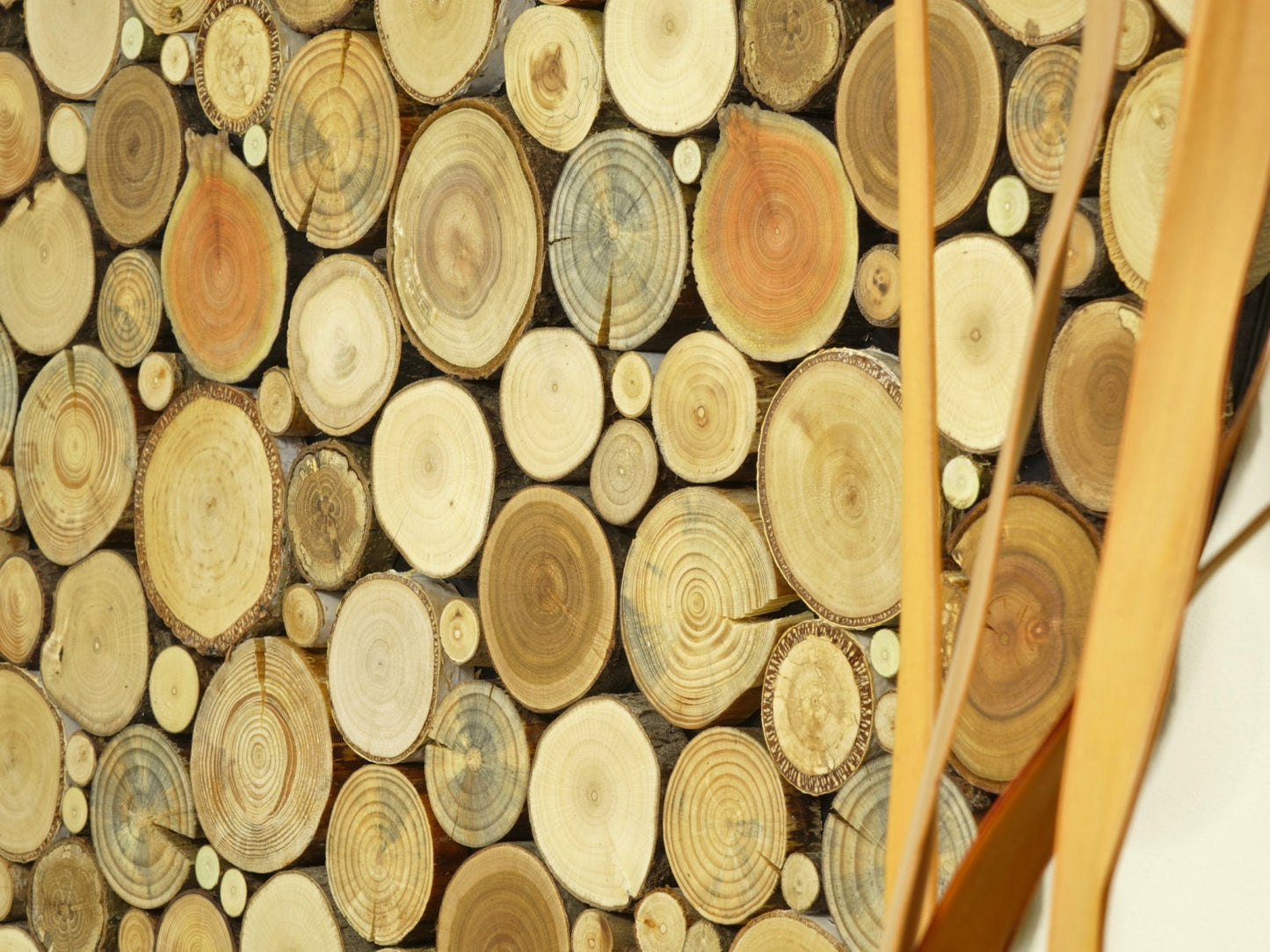 Round wood wall art , Tree rounds decor, holzwand kunst, tree slices wall art, modern wood wall art