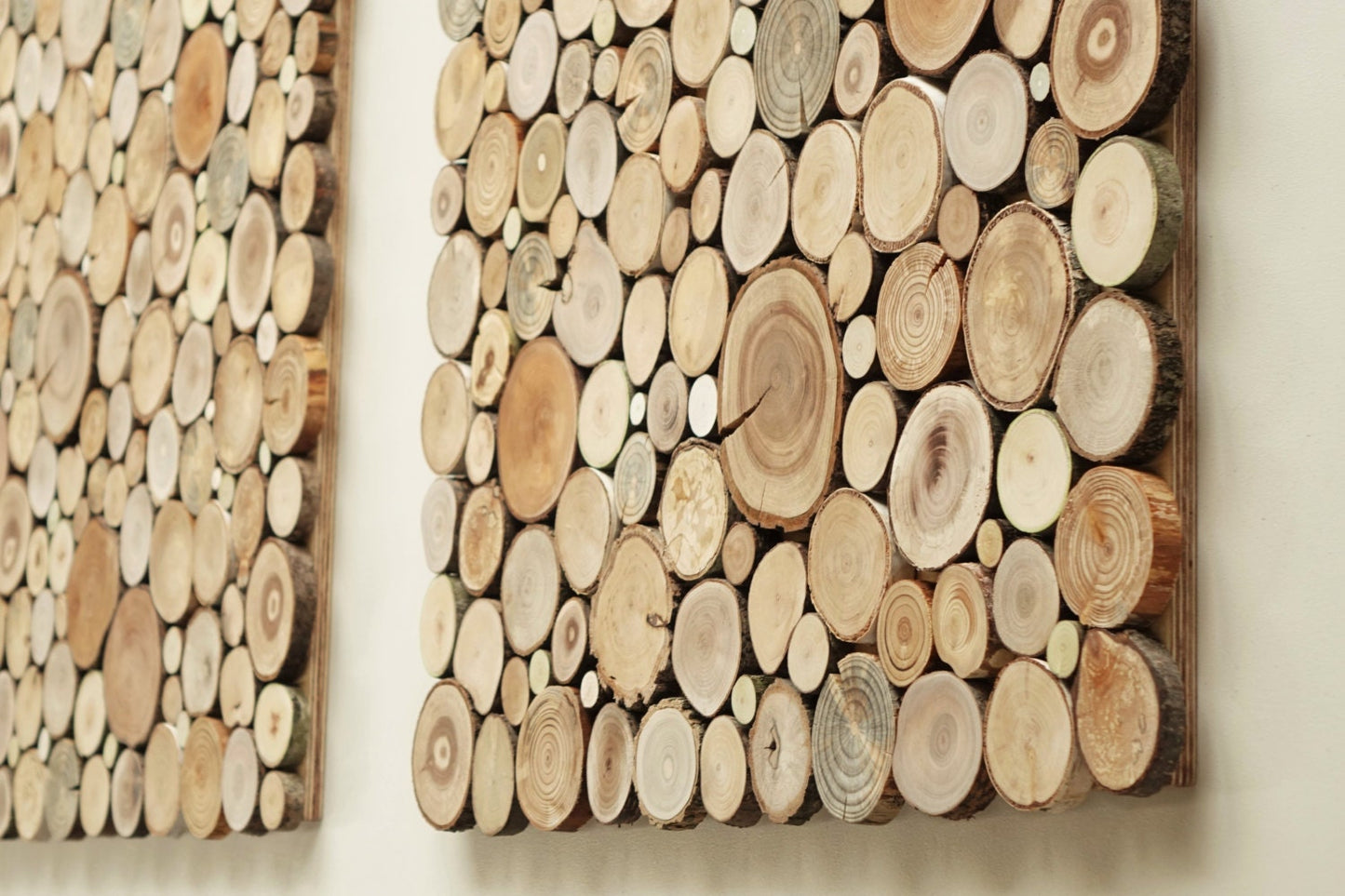 wooden wall art - a set of 2, Tree rounds decor, tree slice wall board, modern wood art, Wood panel wall art