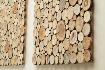 wooden wall art - a set of 2, Tree rounds decor, tree slice wall board, modern wood art, Wood panel wall art