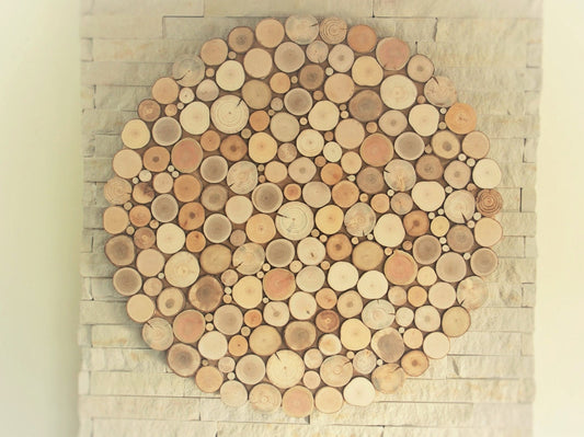 USA ONLY, tree slices wall art, round wall hanging decoration, wooden wall art, environment wall art