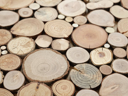 wooden wall art - a set of 2, Tree rounds decor, tree slice wall board, modern wood art, Wood panel wall art