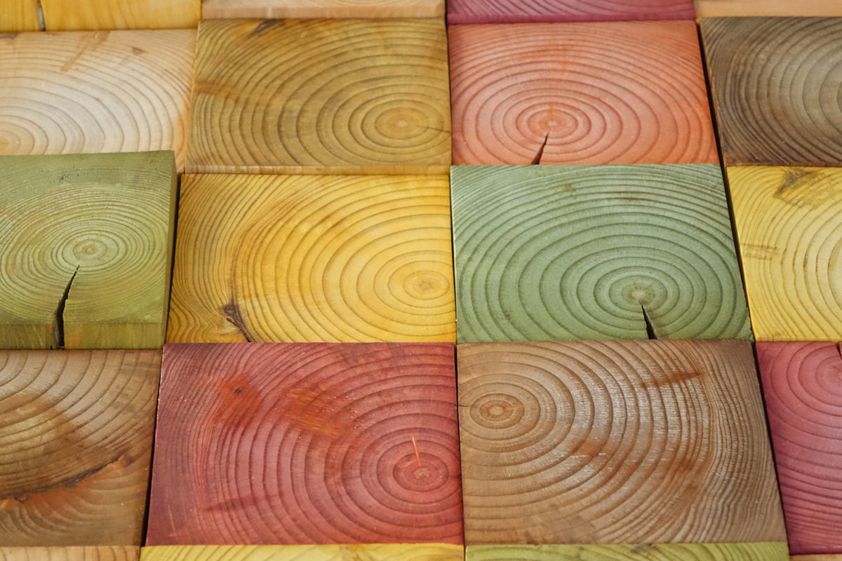 Fall wood wall art, Autumn hanging, fall decor, modern wood art, organic wall art, nature inspired art, reclaimed wall art